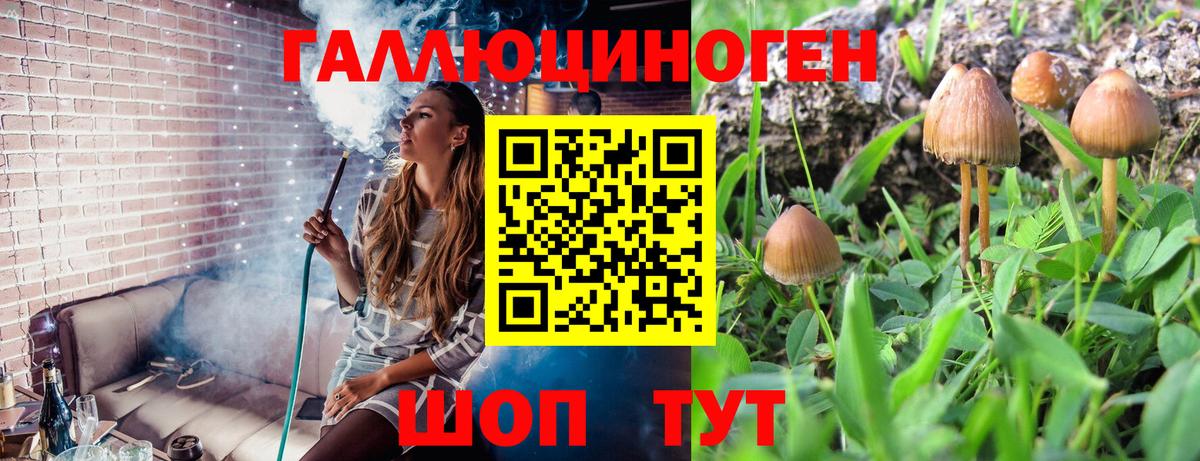 Псилоцибиновые грибы GOLDEN TEACHER  Галлюциногенные грибы мухоморы  Кулебаки  Вход с VPN 