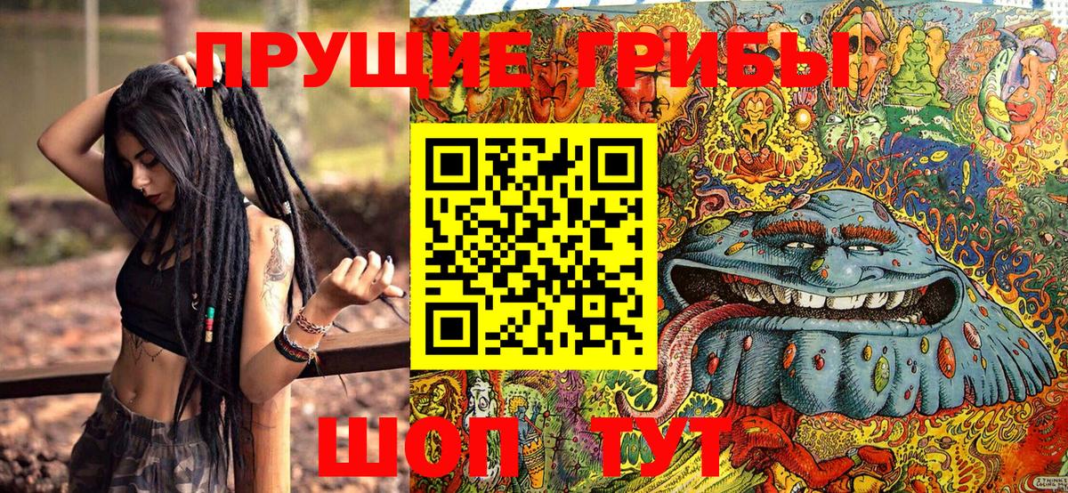 Галлюциногенные грибы MAGIC MUSHROOMS Кулебаки